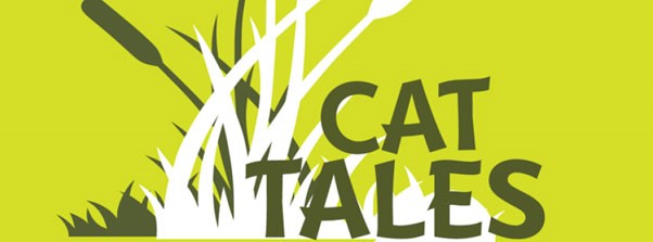 Cat Tales - EGSC Statesboro