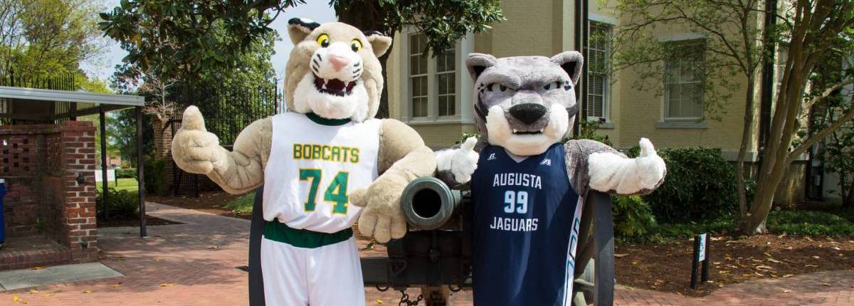 bobcat mascot and jaguar mascot pose with thumbs up next to an antique cannon