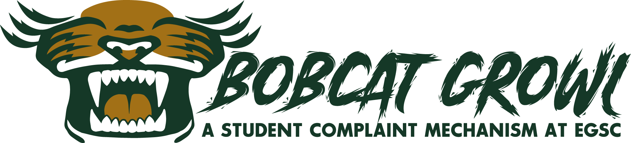 Student Complaint Process